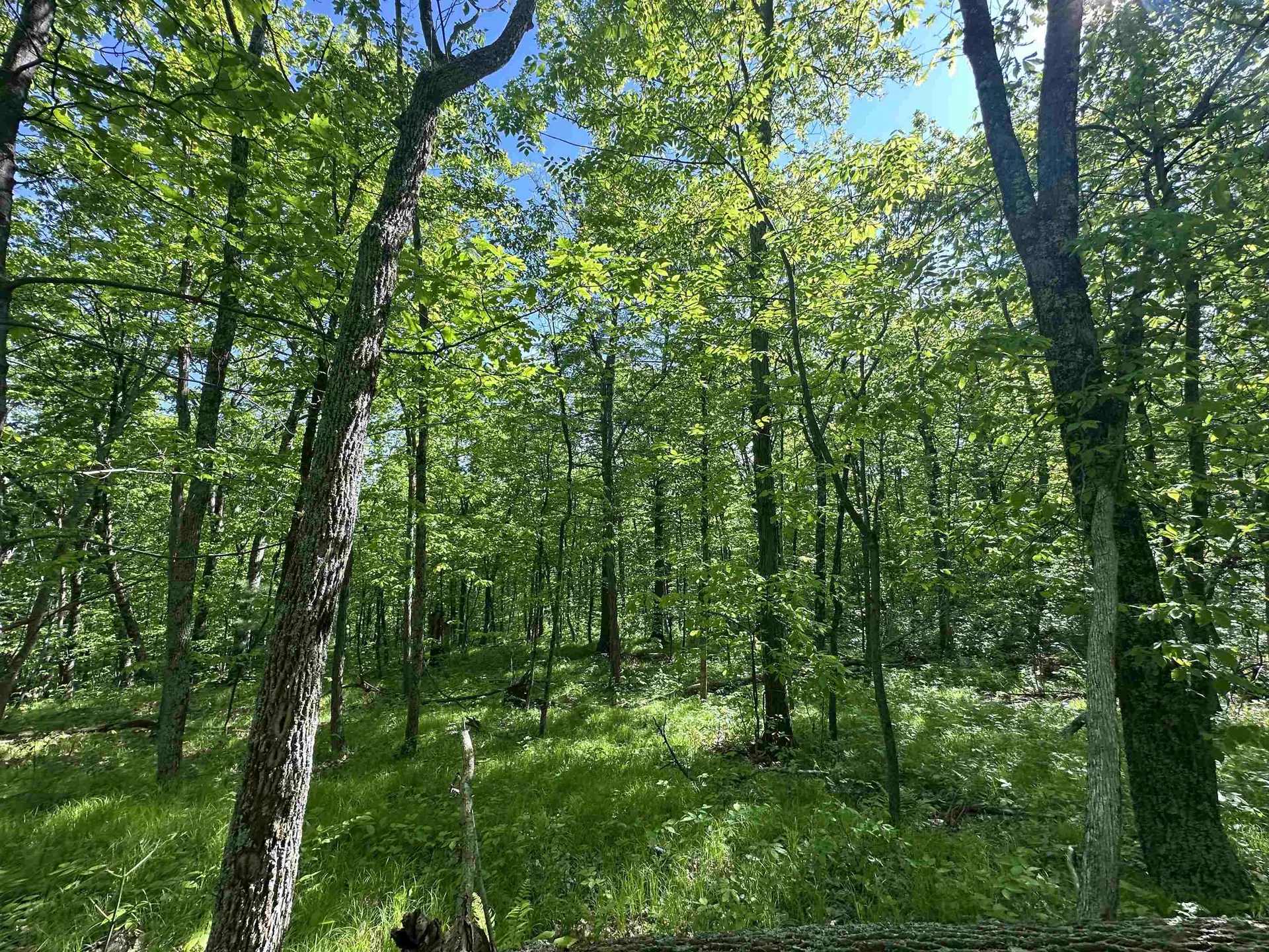 189 Shagbark Lane Williston VT 05495