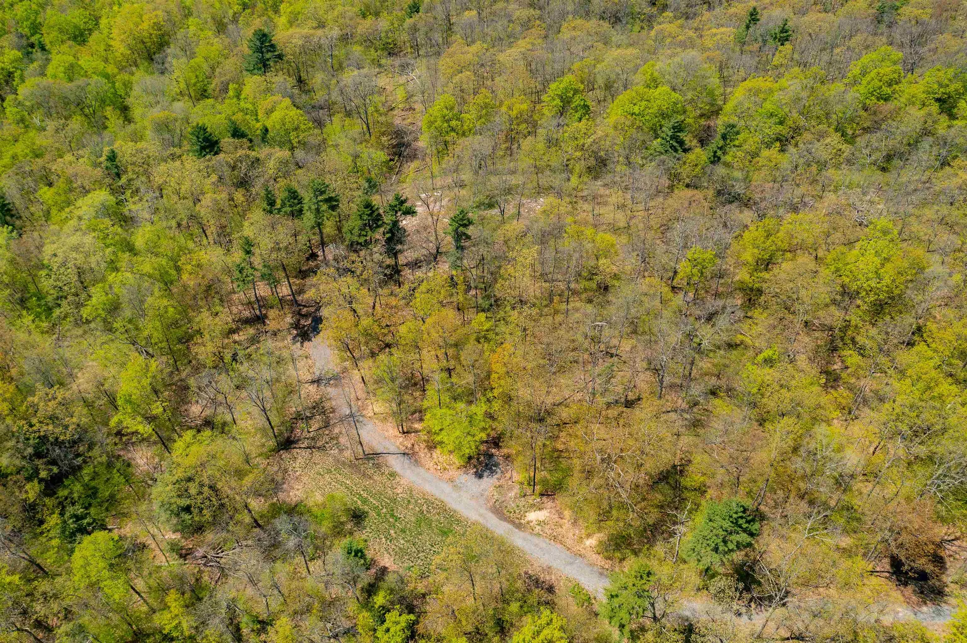 189 Shagbark Lane Williston VT 05495