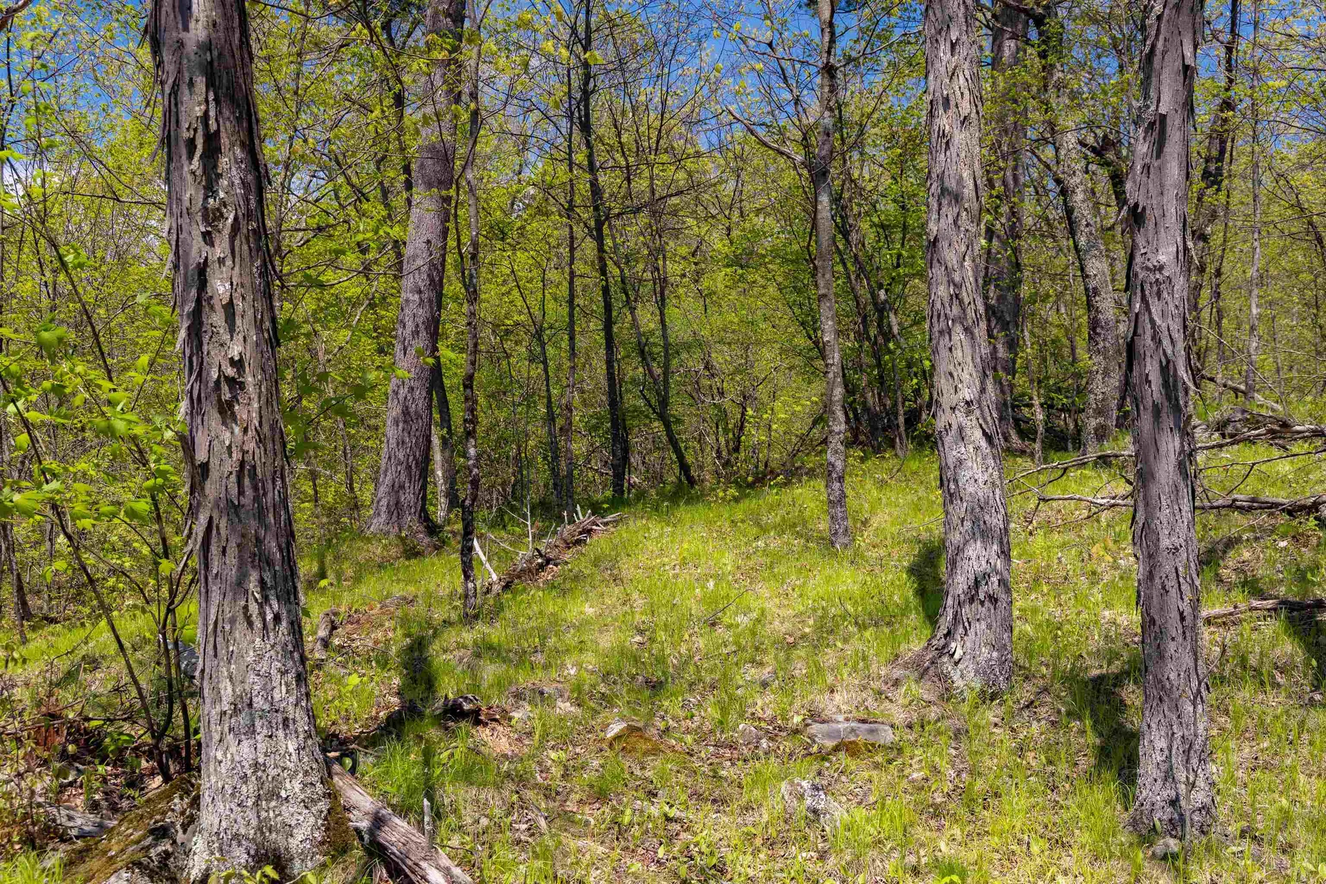 189 Shagbark Lane Williston VT 05495