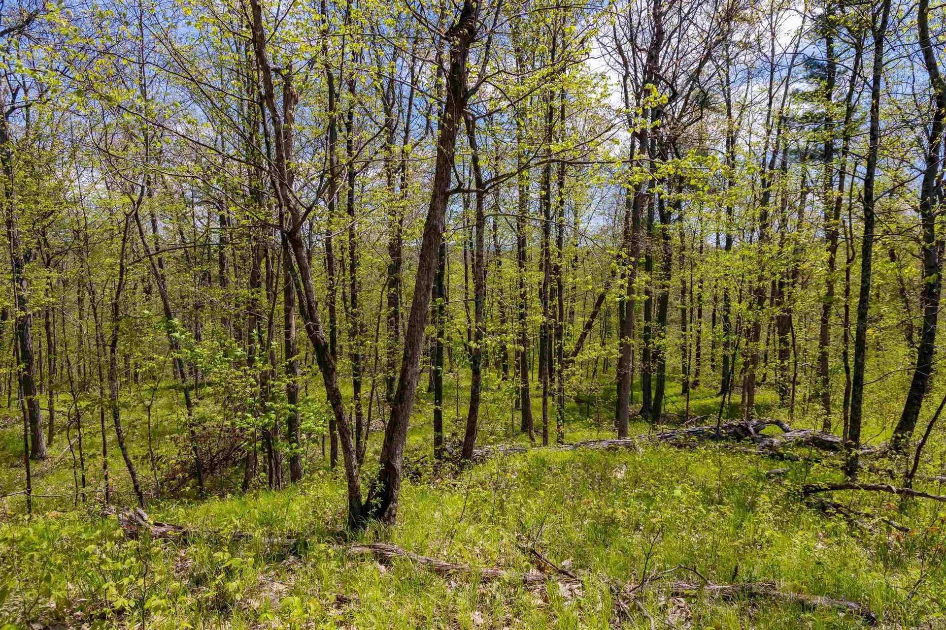 189 Shagbark Lane Williston VT 05495