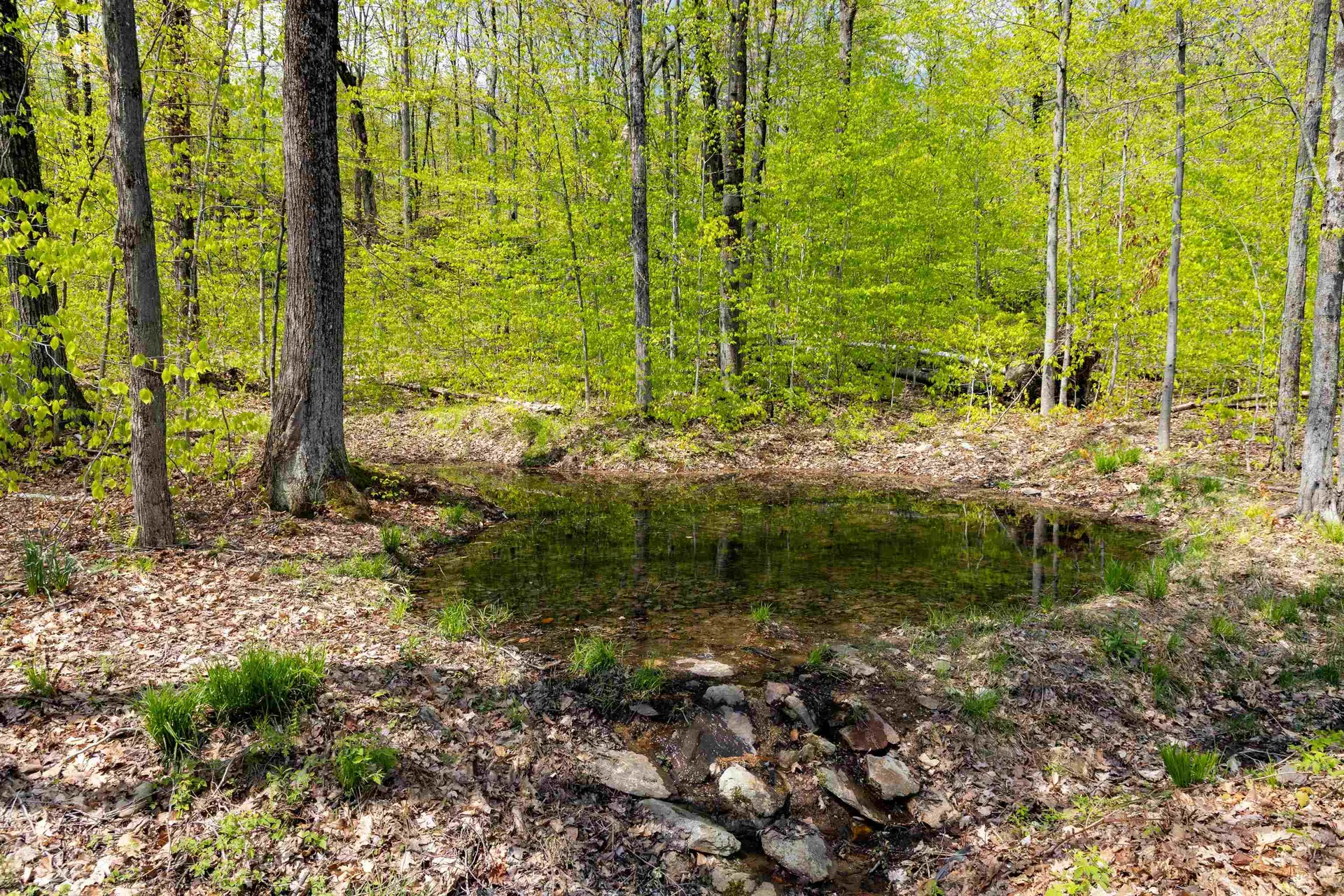 189 Shagbark Lane Williston VT 05495