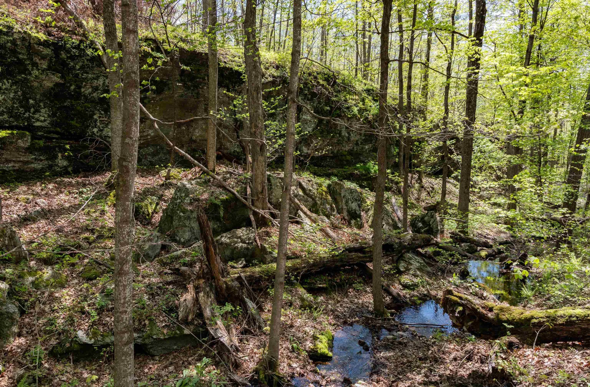 189 Shagbark Lane Williston VT 05495