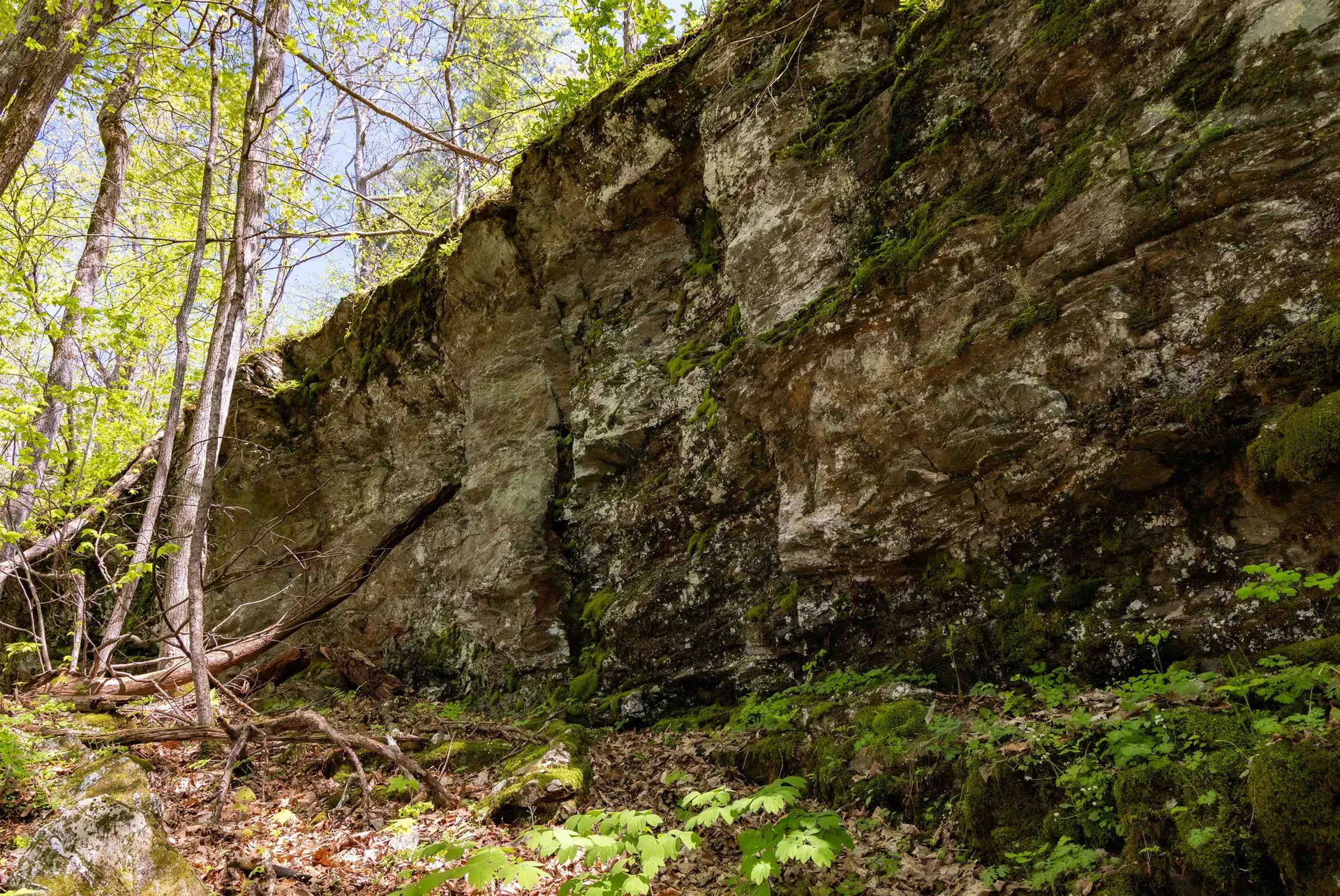 189 Shagbark Lane Williston VT 05495