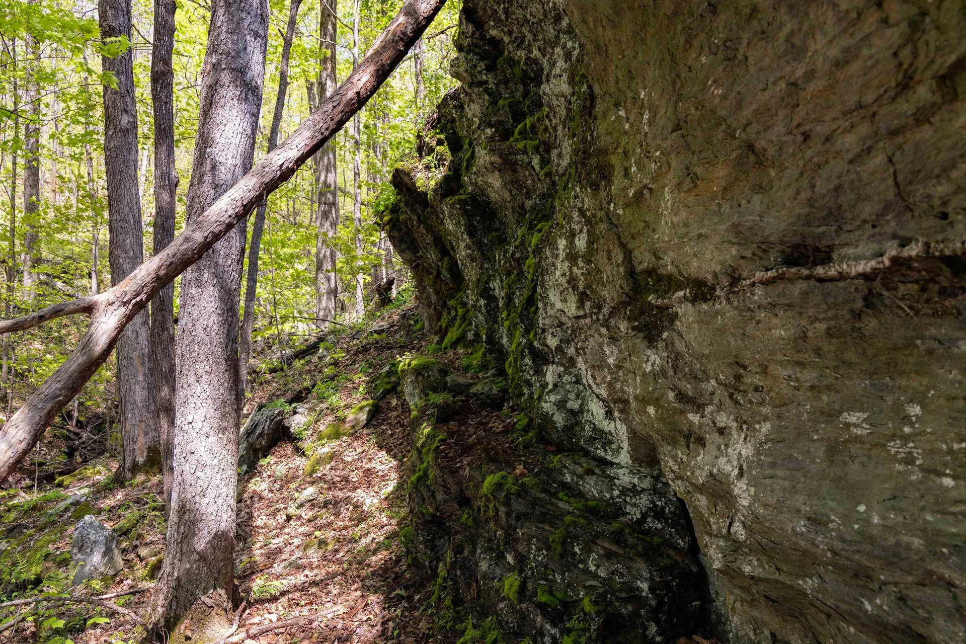 189 Shagbark Lane Williston VT 05495