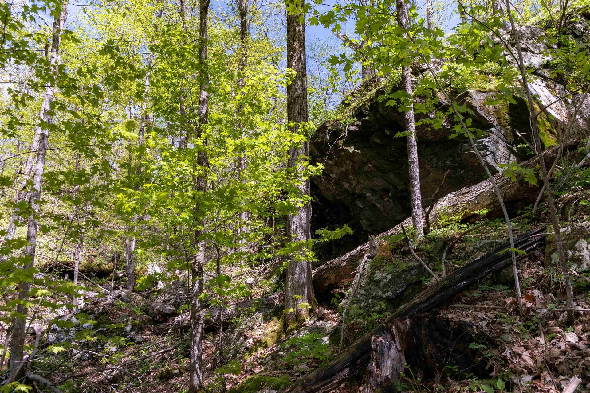 189 Shagbark Lane Williston VT 05495