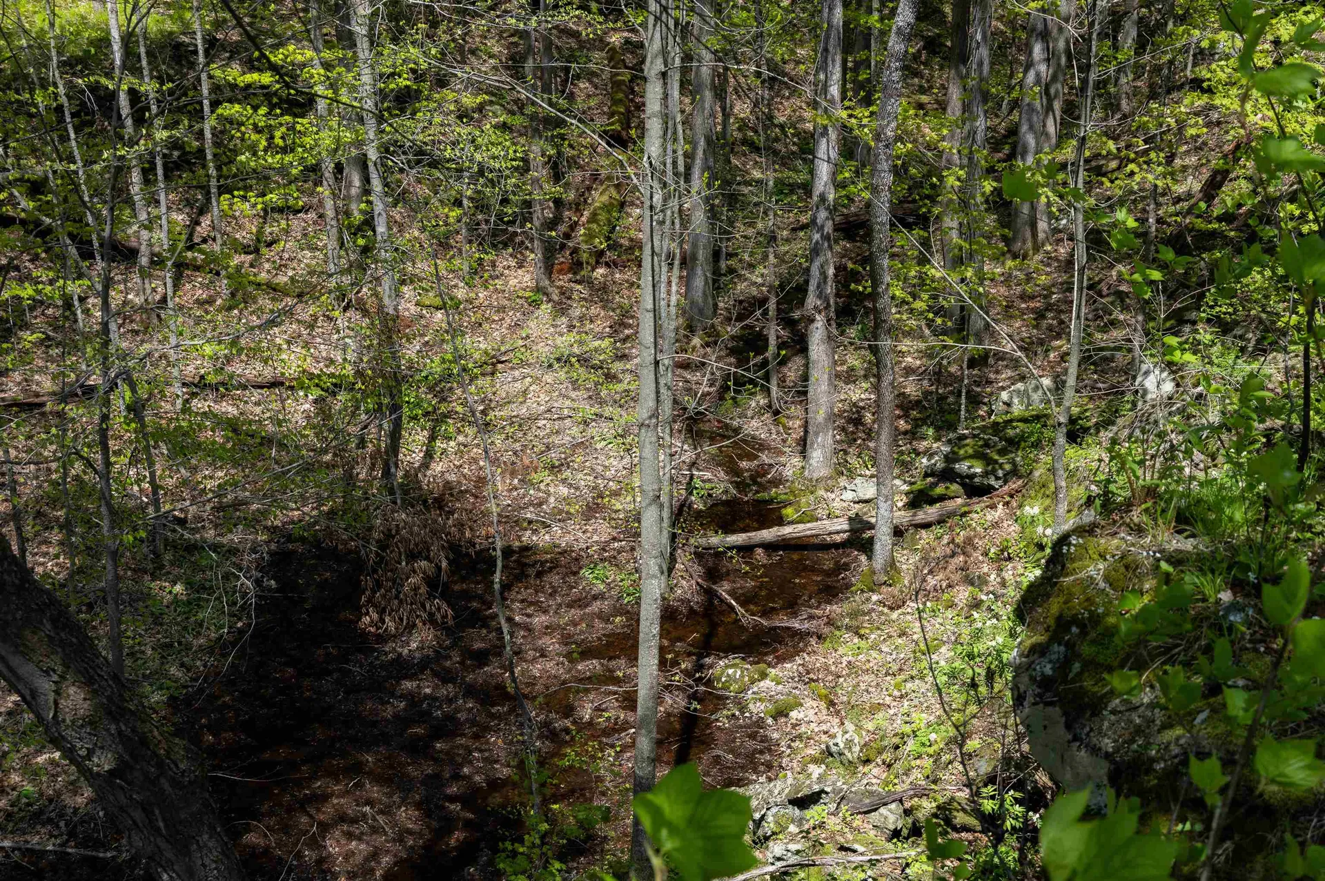 189 Shagbark Lane Williston VT 05495