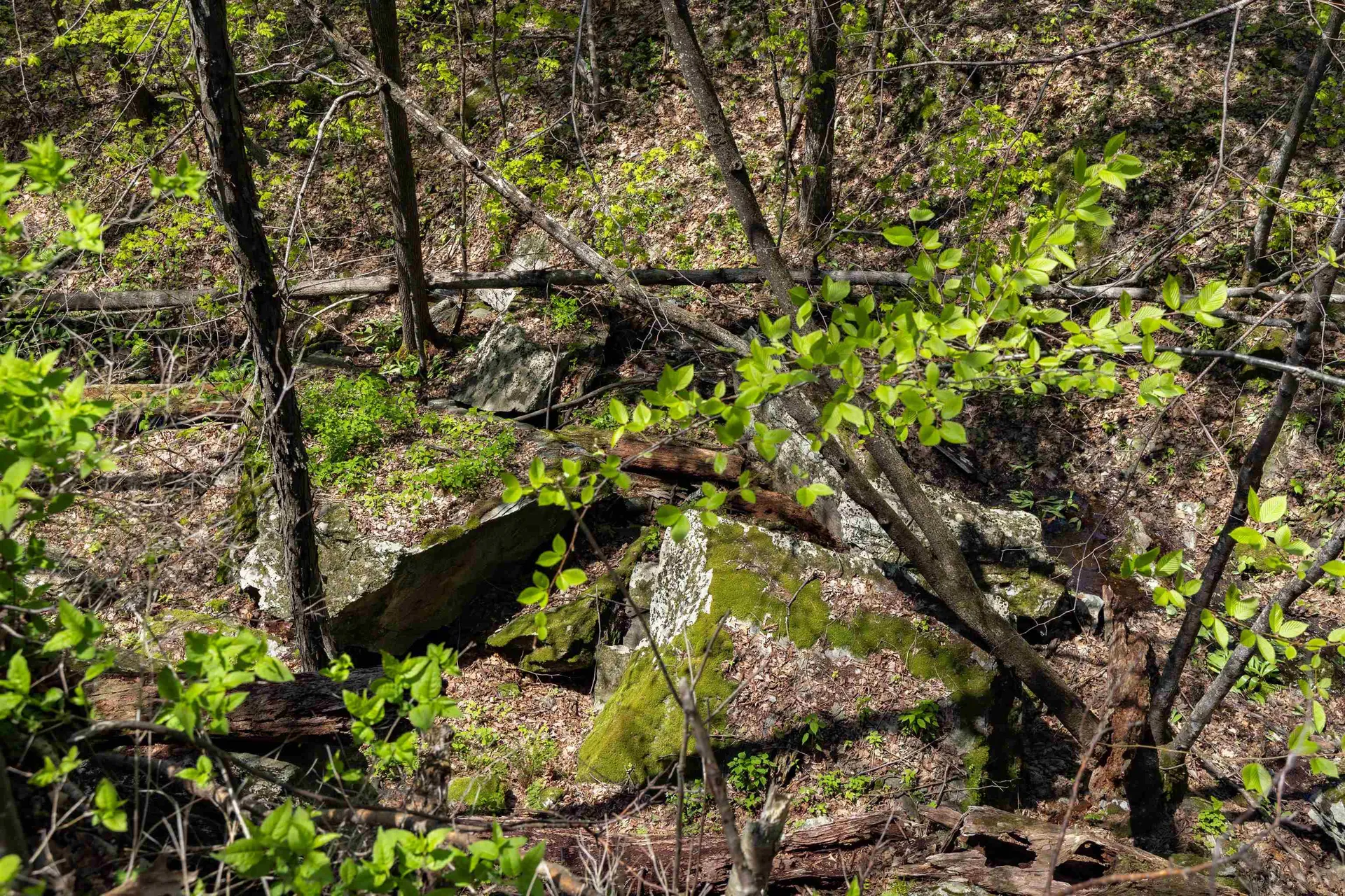 189 Shagbark Lane Williston VT 05495