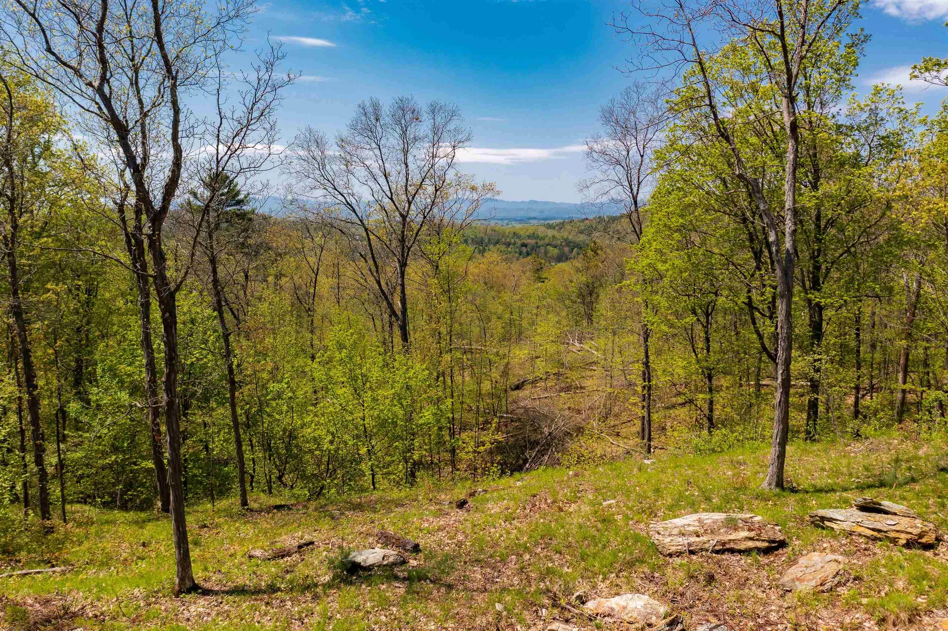 189 Shagbark Lane Williston VT 05495