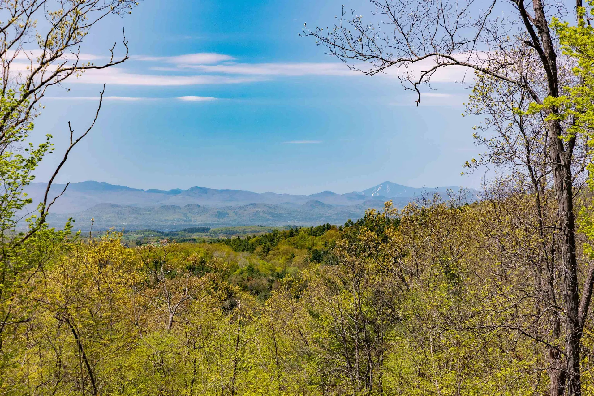 189 Shagbark Lane Williston VT 05495