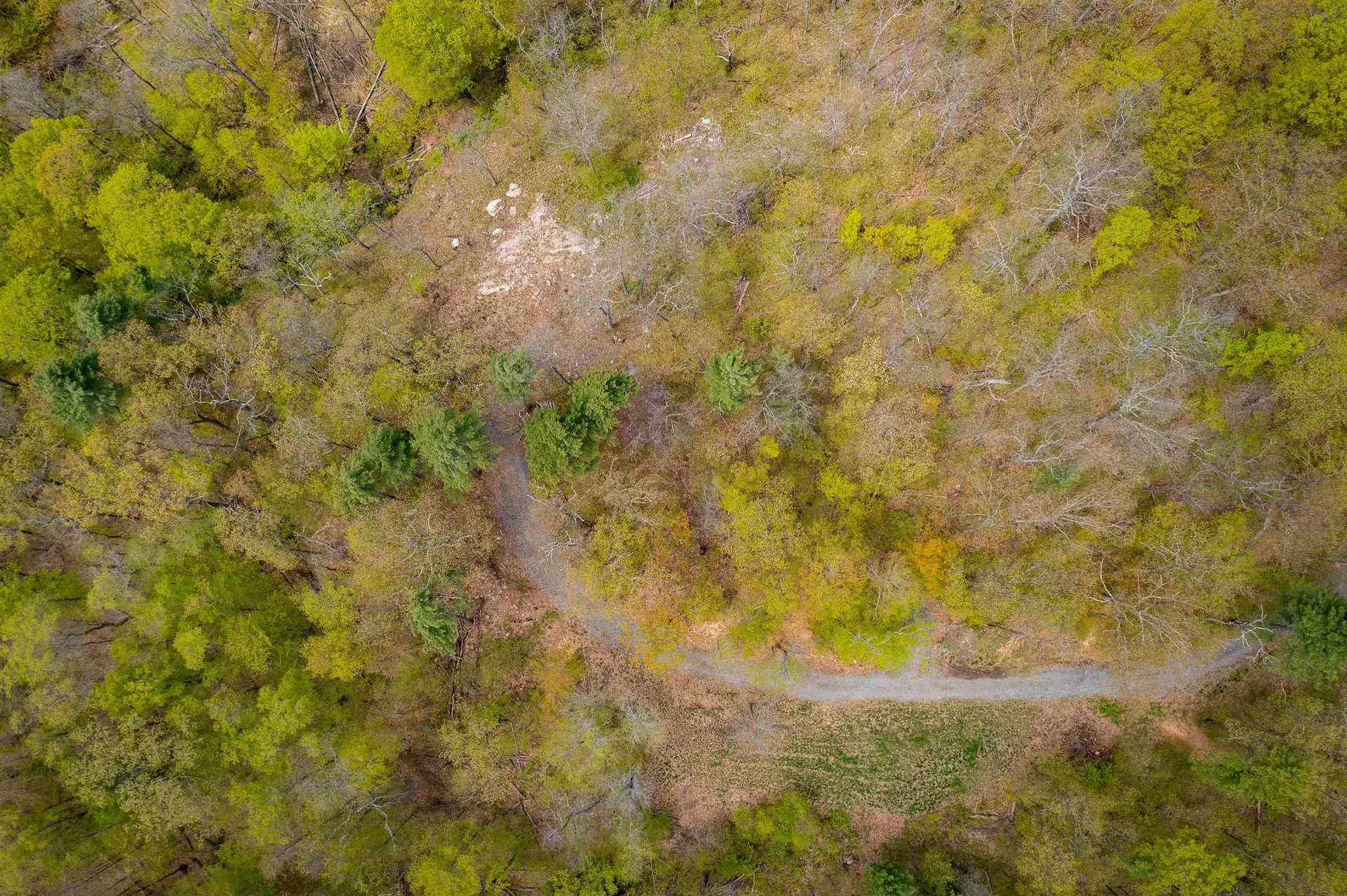 189 Shagbark Lane Williston VT 05495