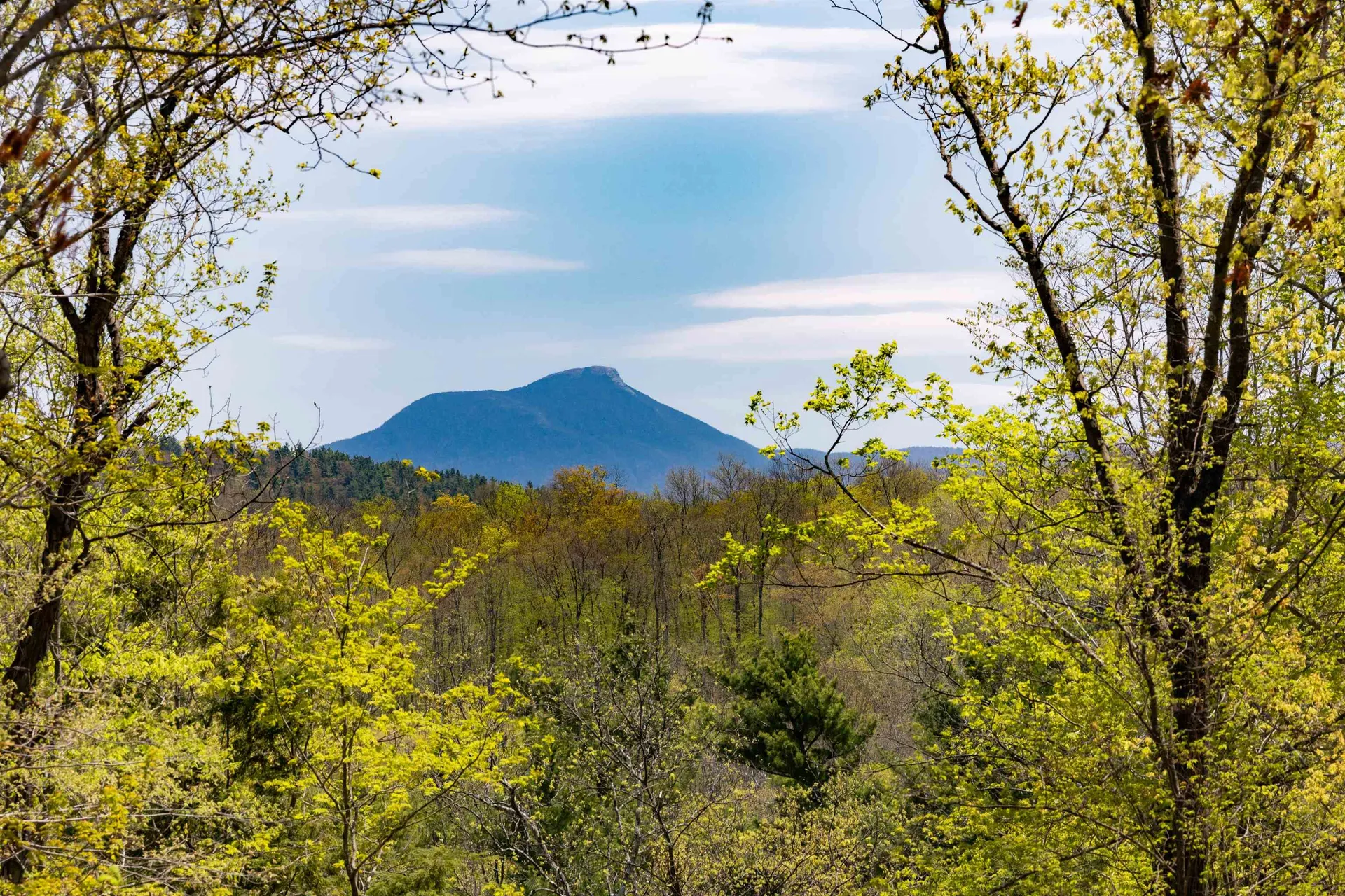 189 Shagbark Lane Williston VT 05495