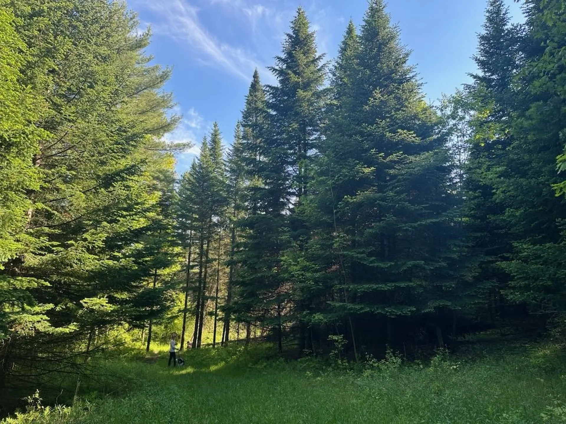 189 Shagbark Lane Williston VT 05495