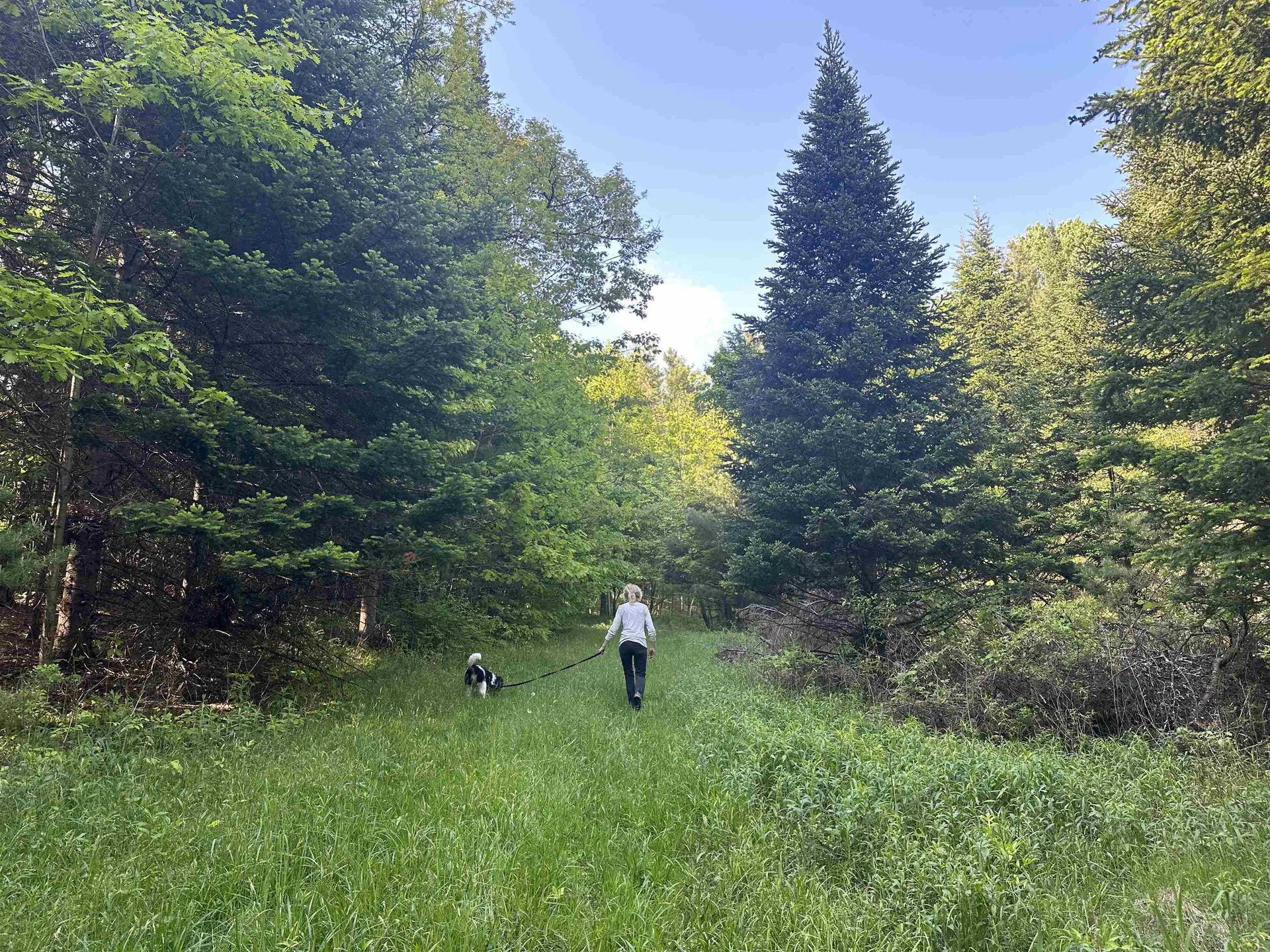 189 Shagbark Lane Williston VT 05495