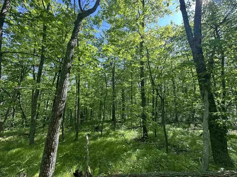 0 Shagbark Lane Williston VT 05495