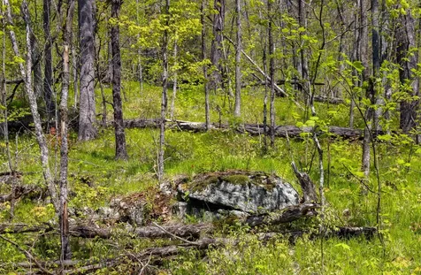 0 Shagbark Lane Williston VT 05495