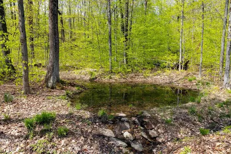 0 Shagbark Lane Williston VT 05495