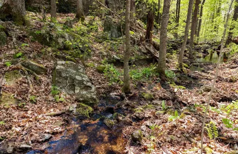 0 Shagbark Lane Williston VT 05495
