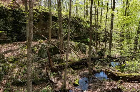 0 Shagbark Lane Williston VT 05495