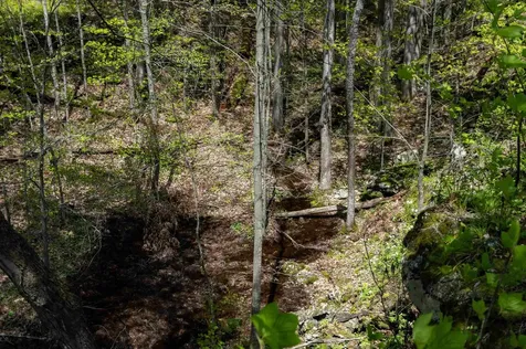 0 Shagbark Lane Williston VT 05495