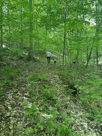 0 Shagbark Lane Williston VT 05495