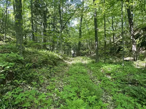 0 Shagbark Lane Williston VT 05495