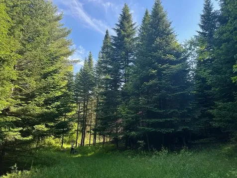 0 Shagbark Lane Williston VT 05495