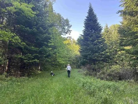 0 Shagbark Lane Williston VT 05495