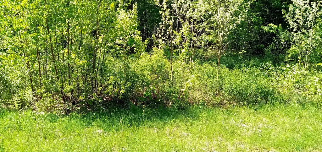 00 Arnold Lane Wolcott VT 05680