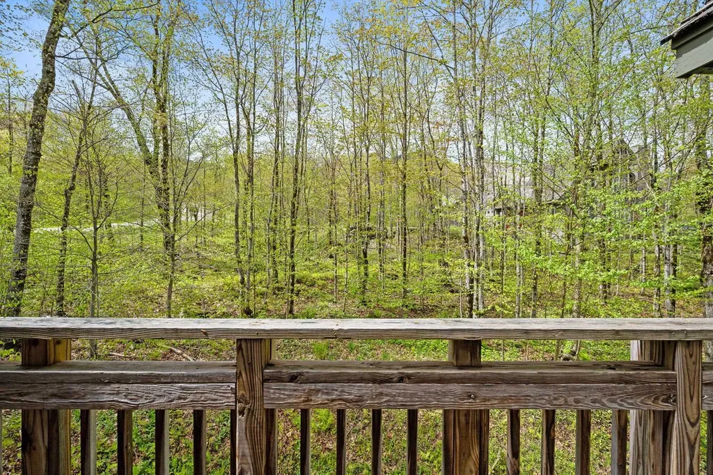 143 Bridge Road Jay VT 05859