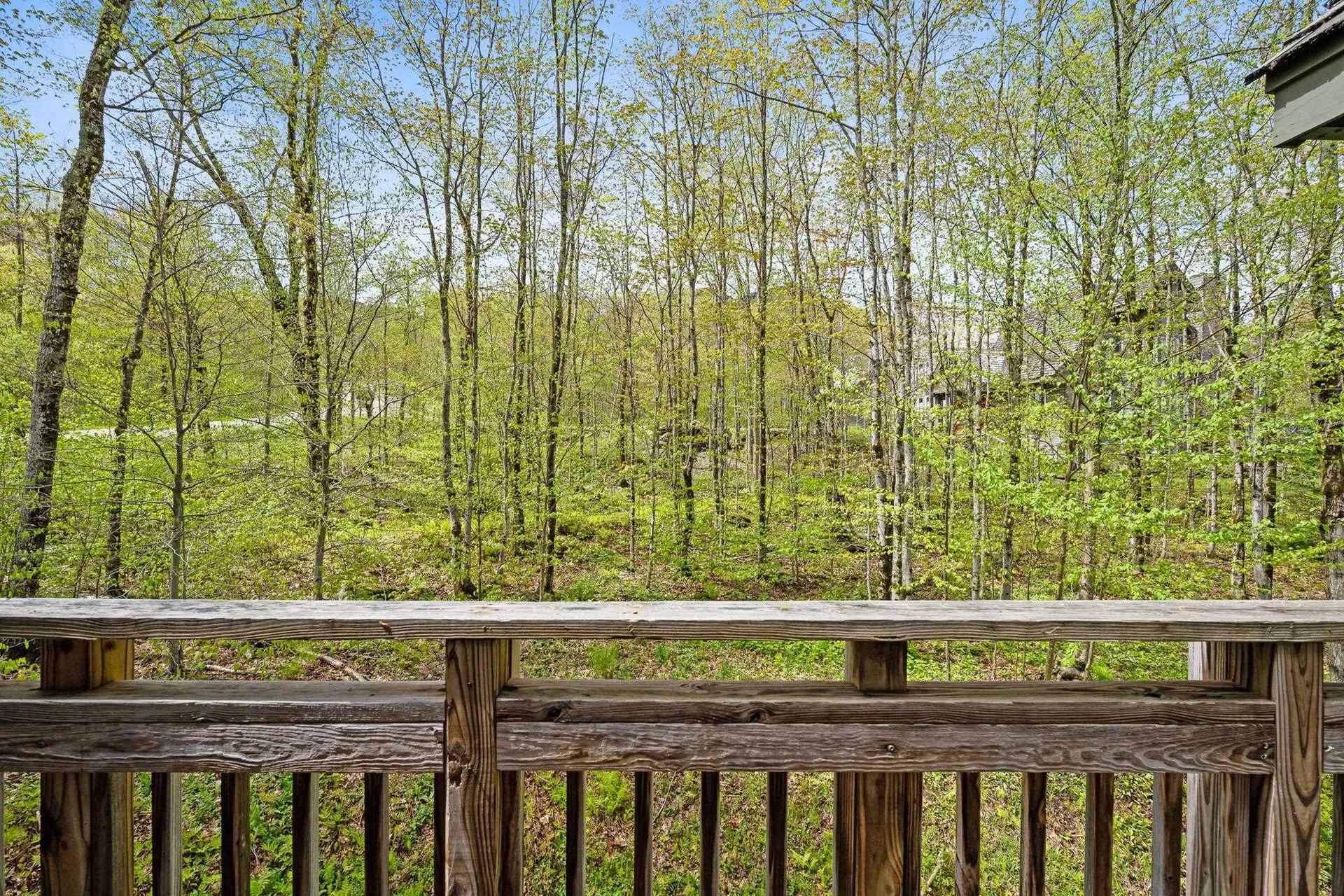 143 Bridge Road Jay VT 05859