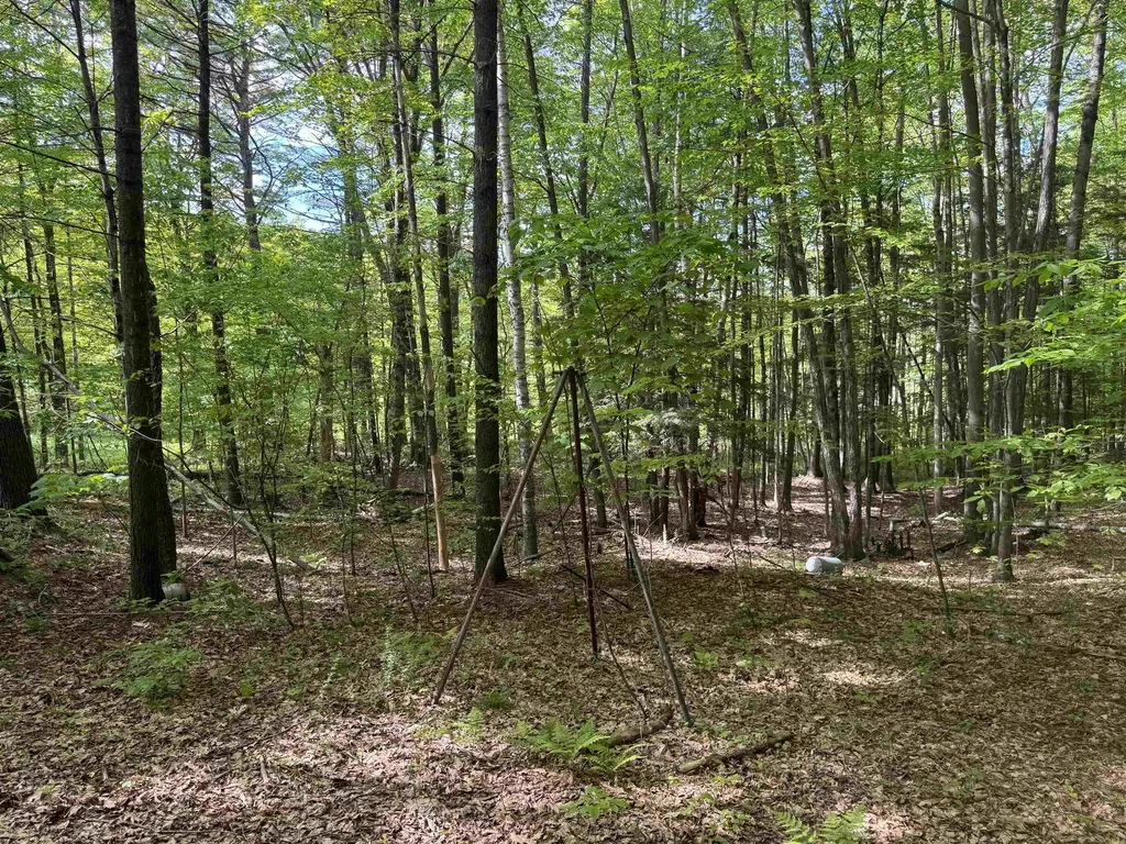 37 Fred Houghton Road Putney VT 05346