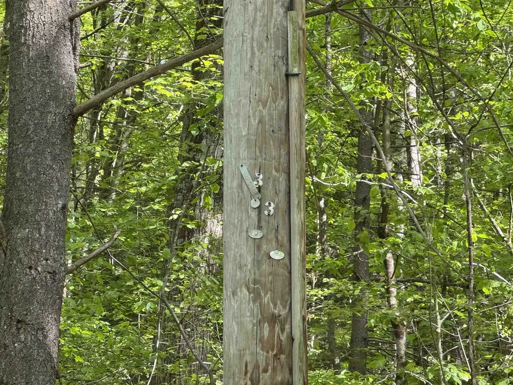 37 Fred Houghton Road Putney VT 05346