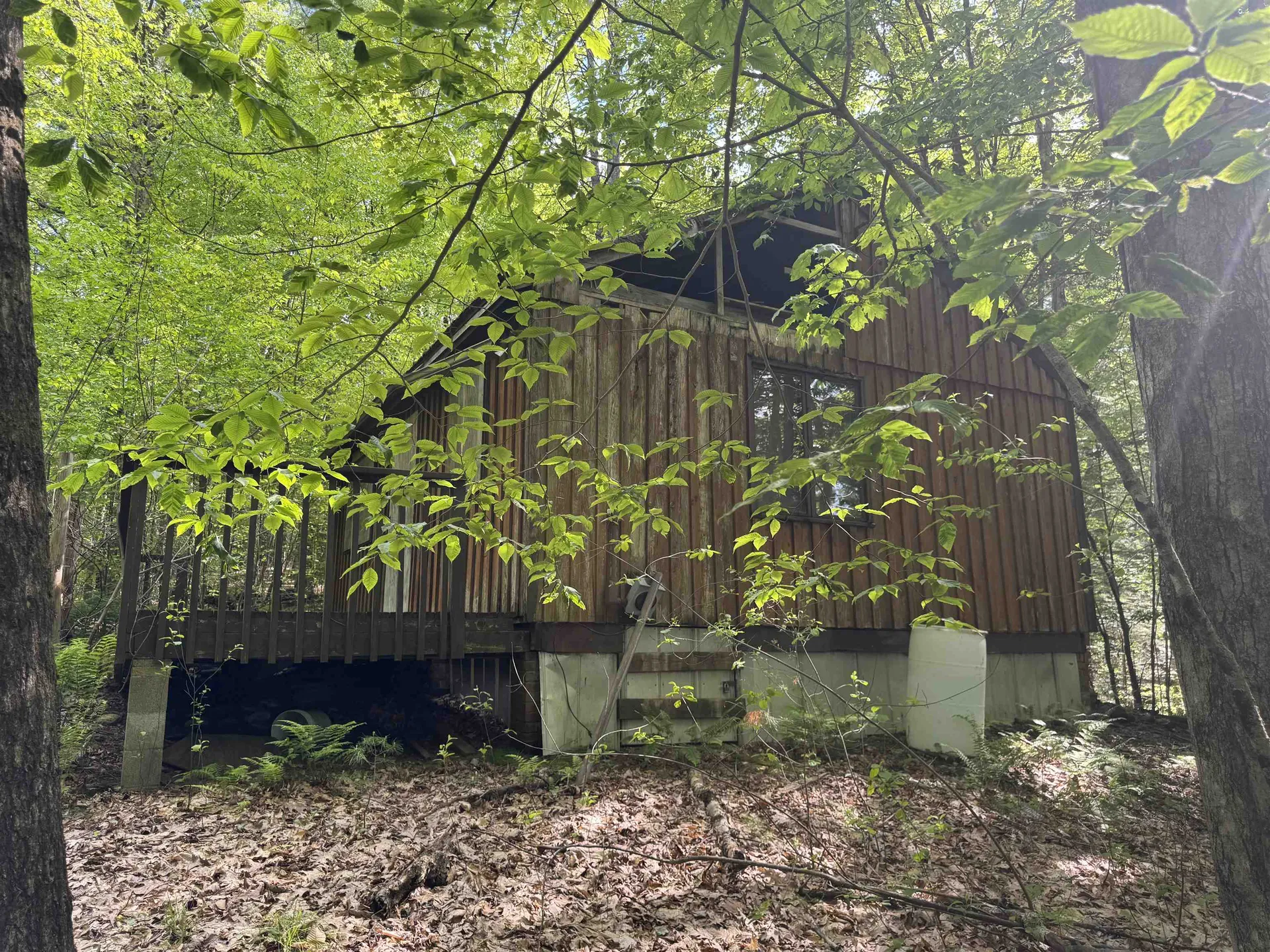 37 Fred Houghton Road Putney VT 05346