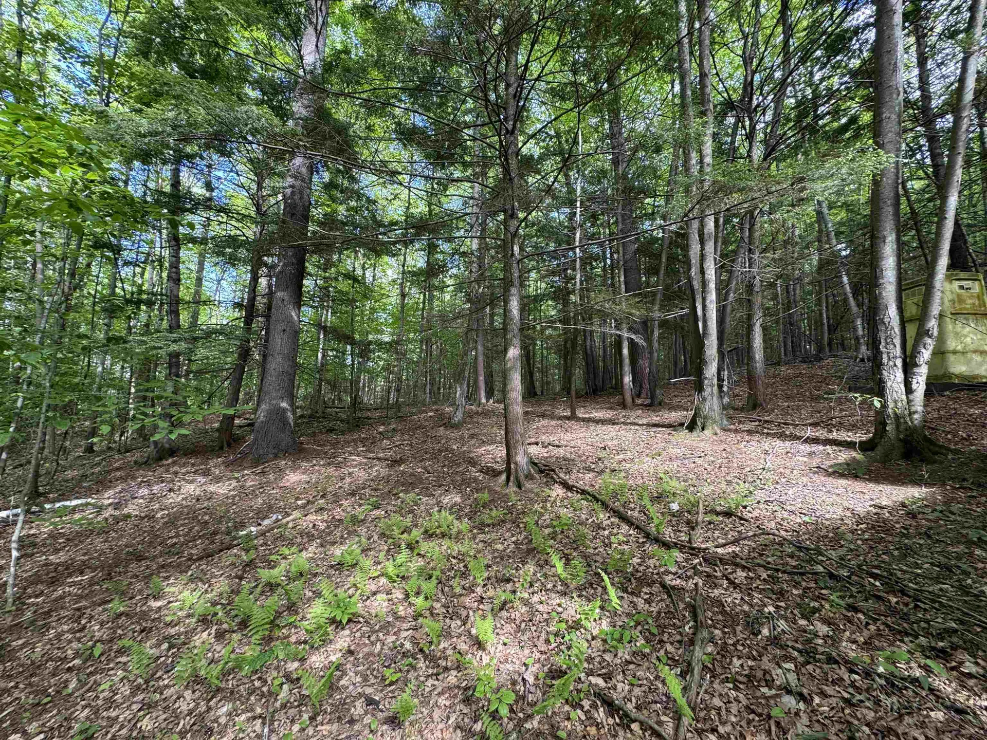 37 Fred Houghton Road Putney VT 05346