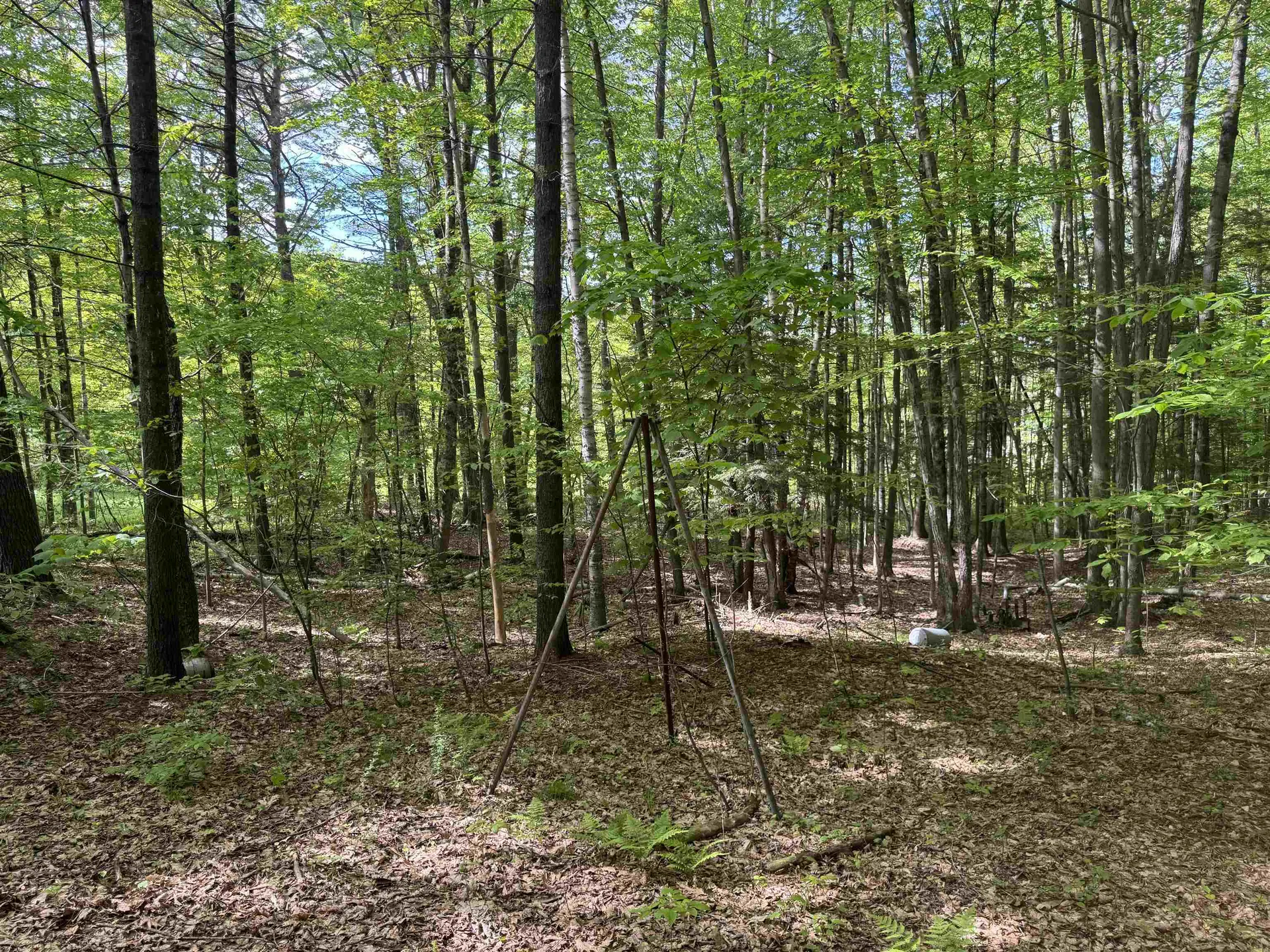 37 Fred Houghton Road Putney VT 05346