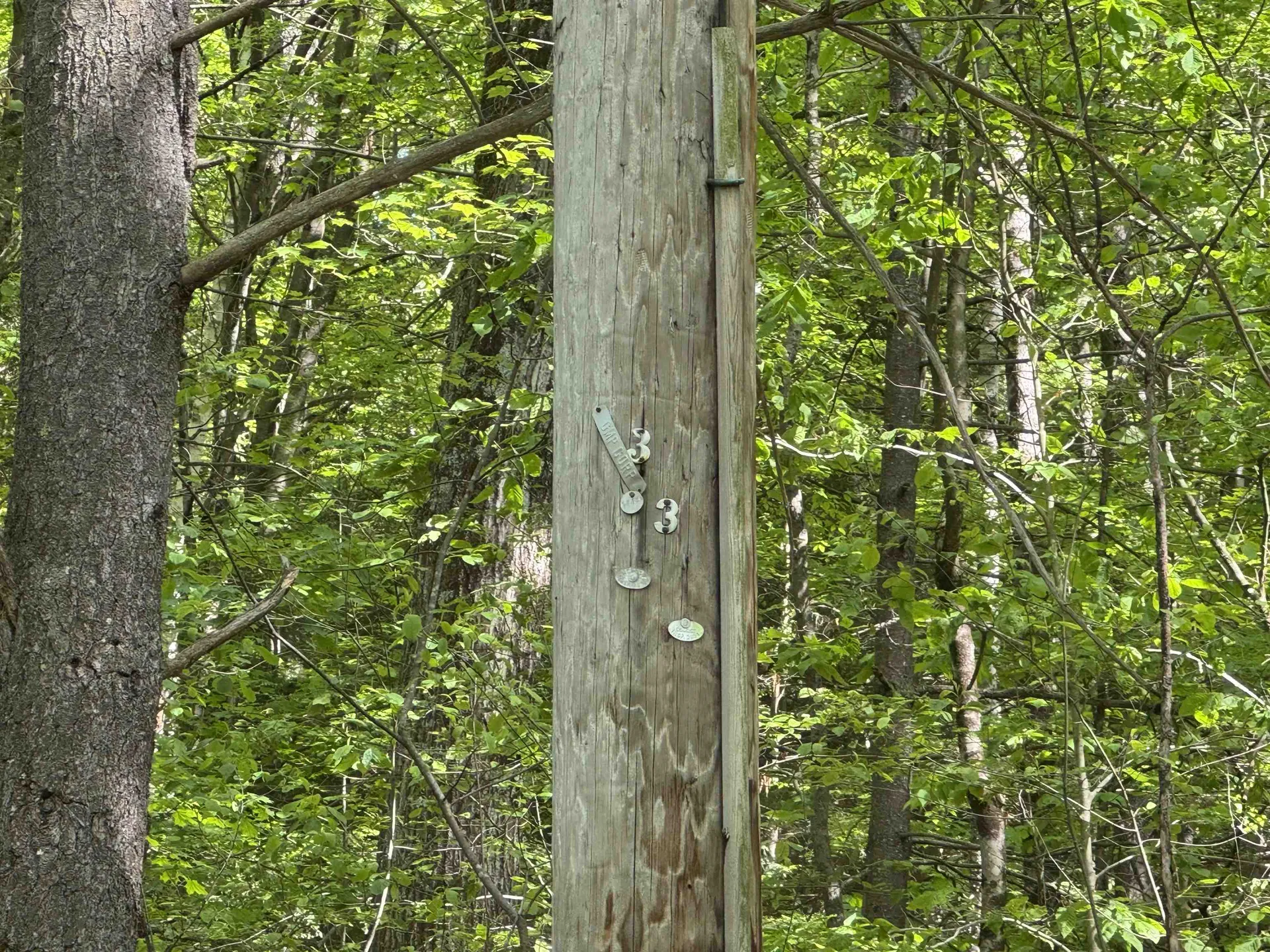 37 Fred Houghton Road Putney VT 05346