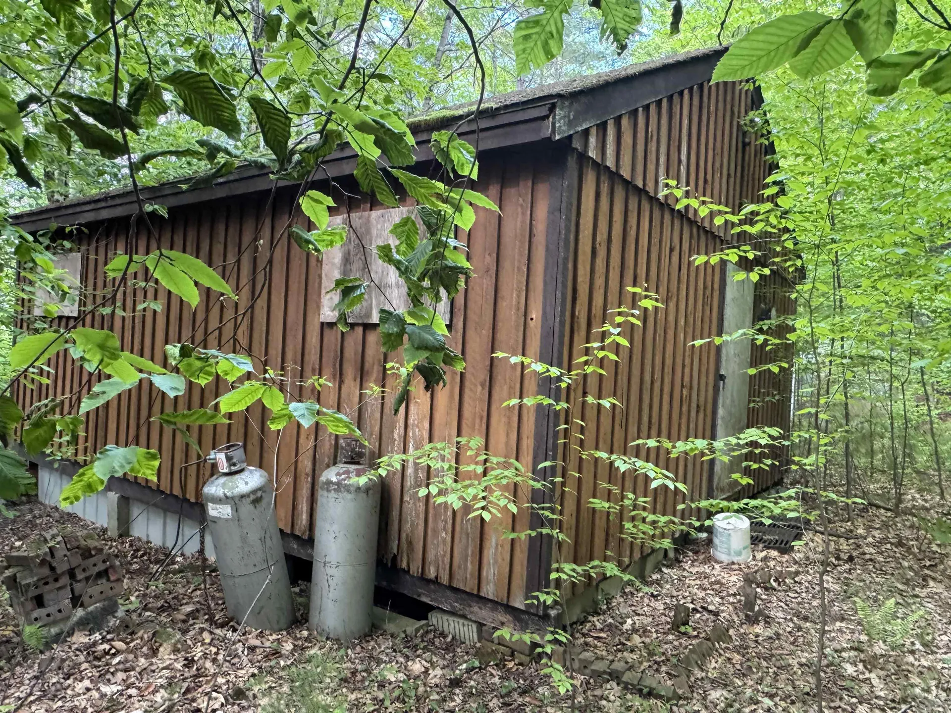 37 Fred Houghton Road Putney VT 05346