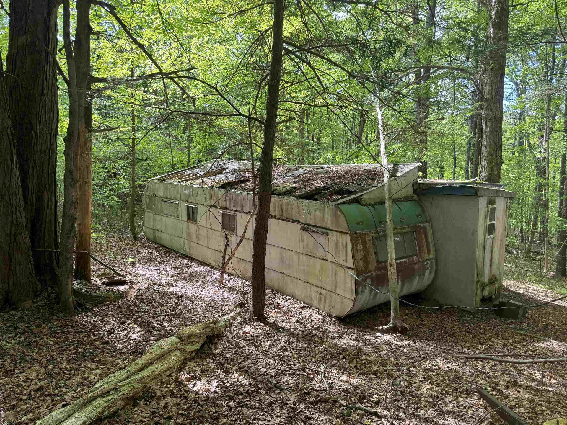 37 Fred Houghton Road Putney VT 05346