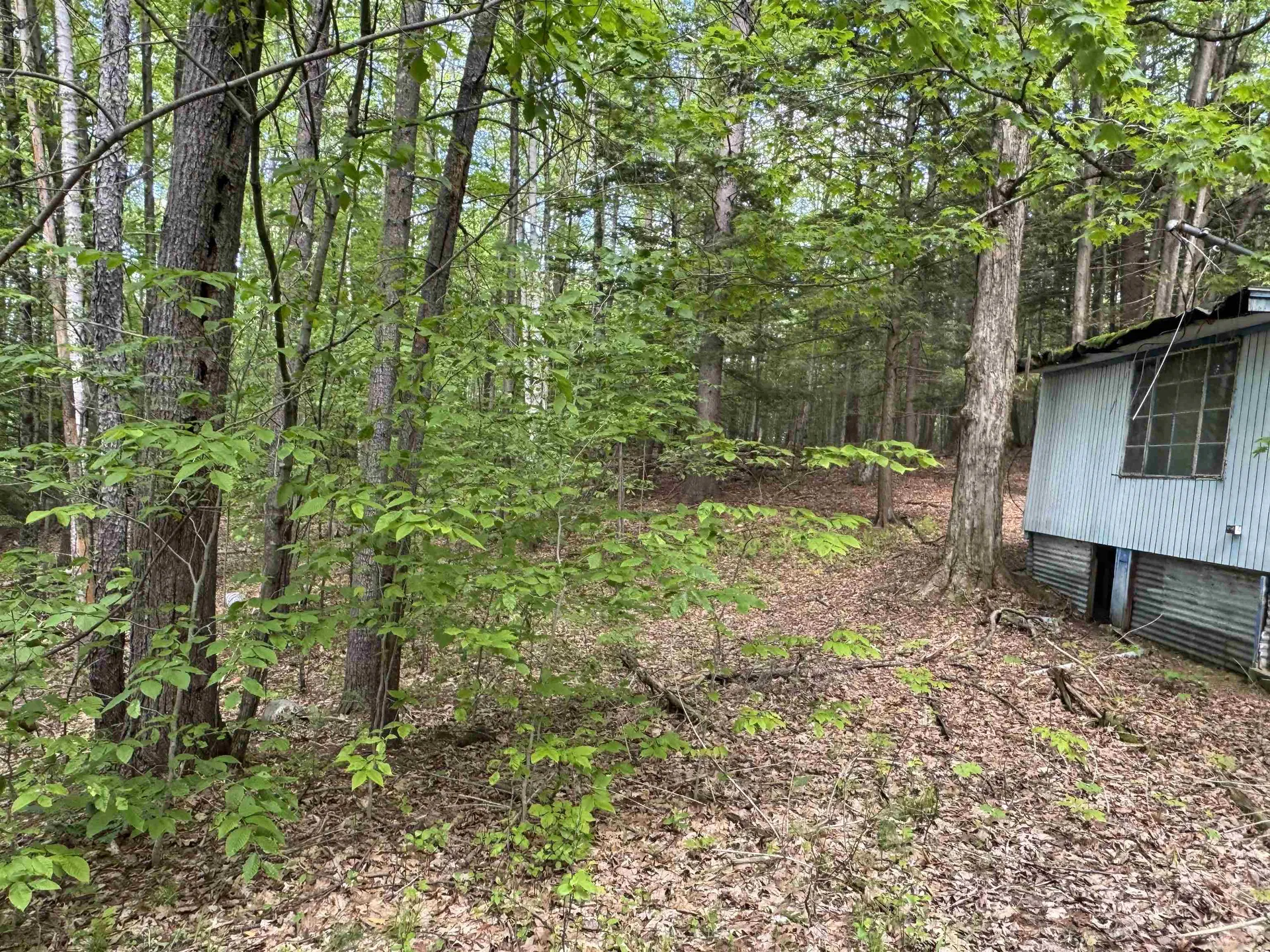 37 Fred Houghton Road Putney VT 05346