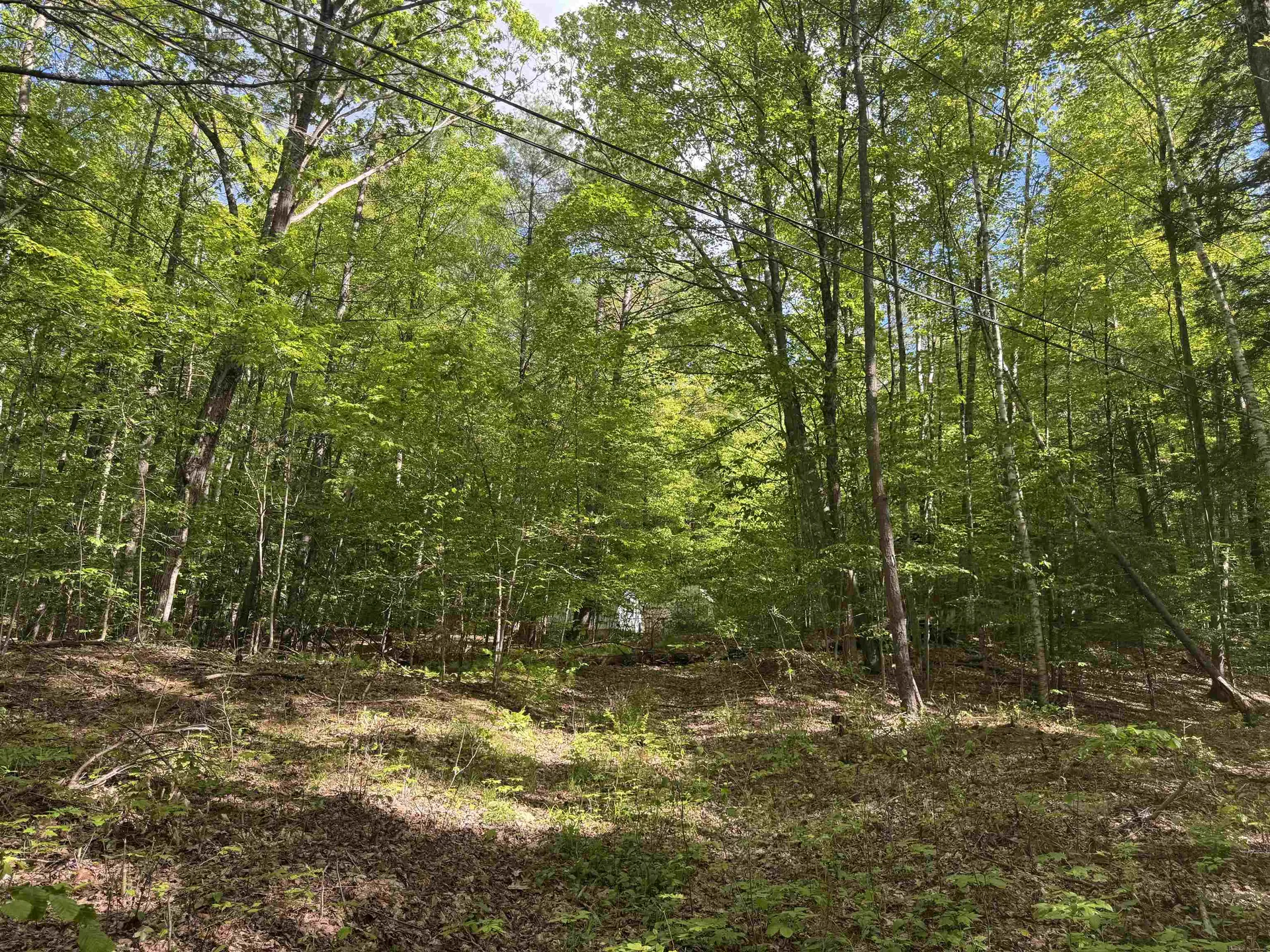 37 Fred Houghton Road Putney VT 05346