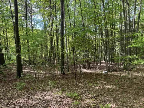 37 Fred Houghton Road Putney VT 05346
