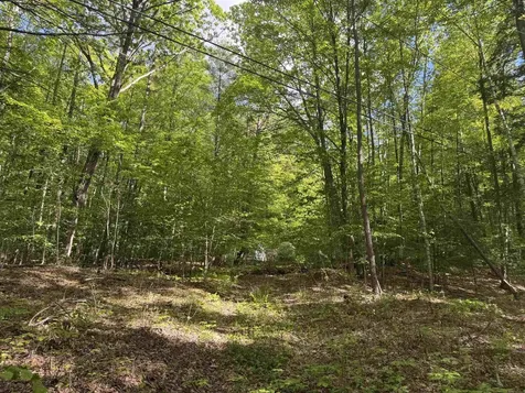 37 Fred Houghton Road Putney VT 05346
