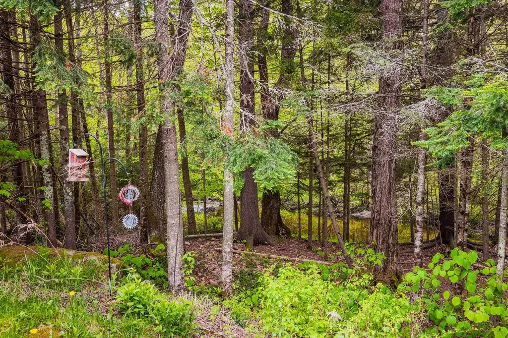 8 Mill Pond Road Grantham NH 03753