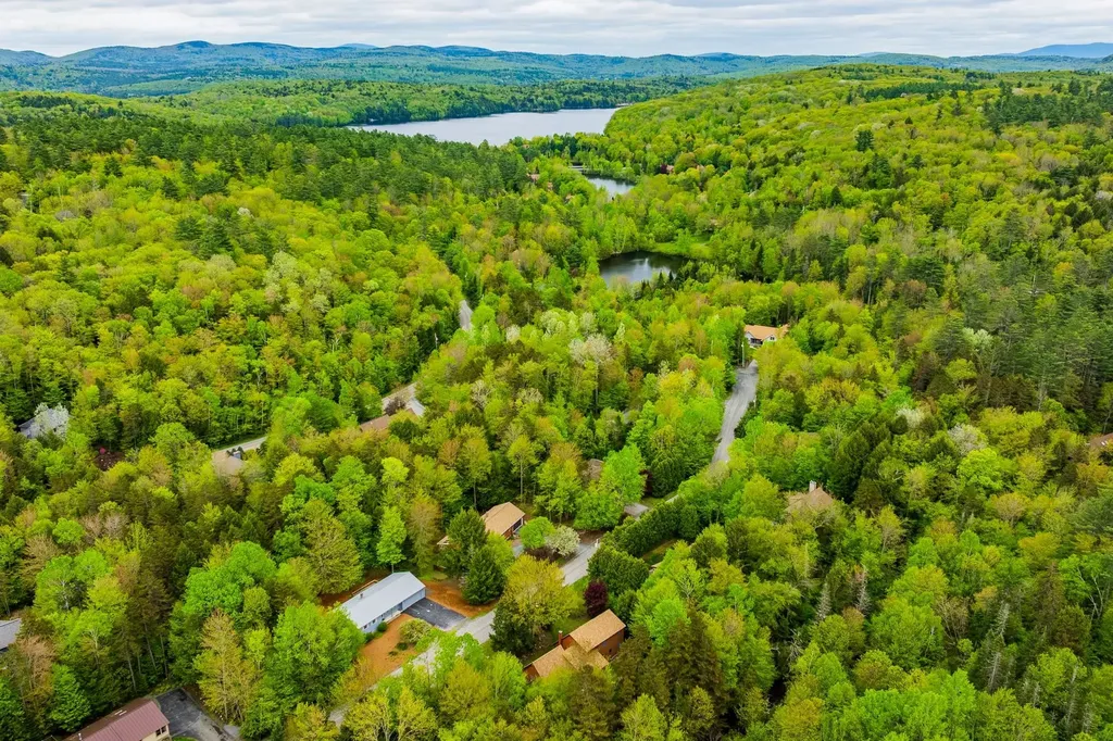 8 Mill Pond Road Grantham NH 03753