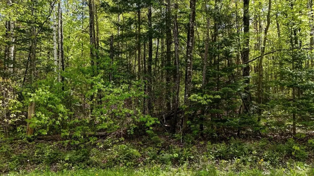 Longhill/leonard Road Concord VT 05824