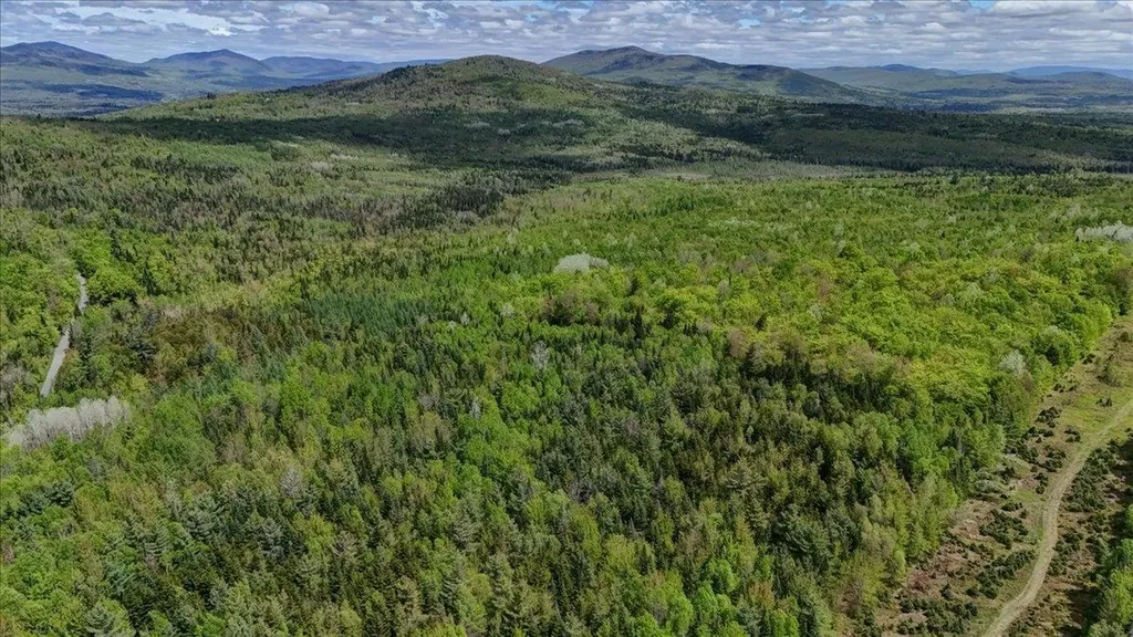 Longhill/leonard Road Concord VT 05824