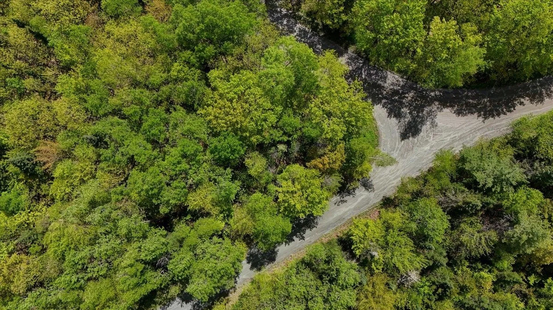 Longhill/leonard Road Concord VT 05824