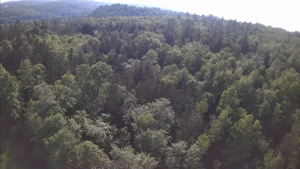 Tbd S Orchard Road Lincoln VT 05443