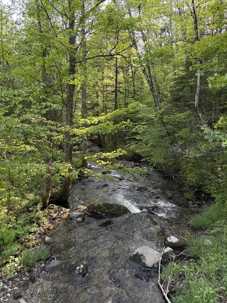 Tbd S Orchard Road Lincoln VT 05443