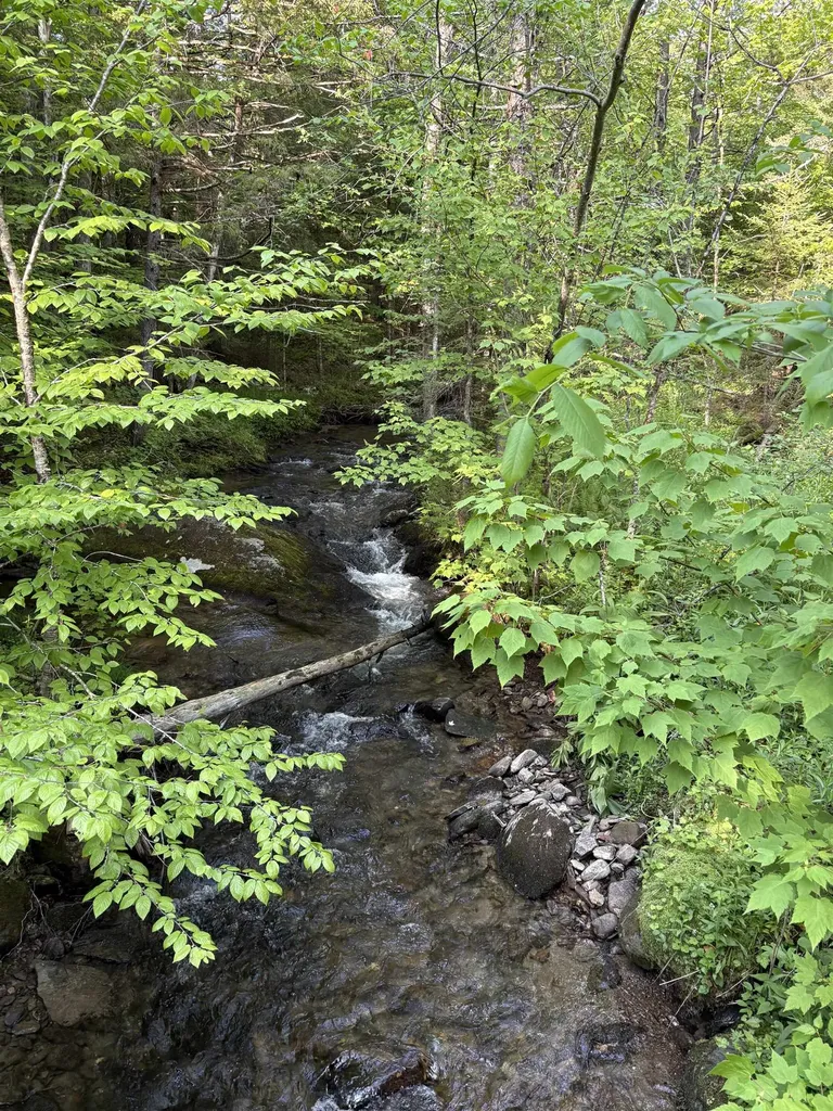 Tbd S Orchard Road Lincoln VT 05443